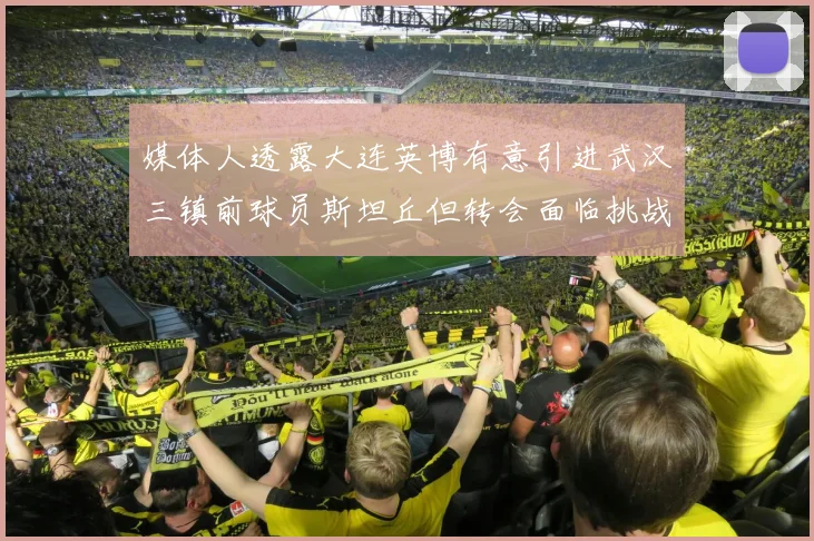 媒体人透露大连英博有意引进武汉三镇前球员斯坦丘但转会面临挑战
