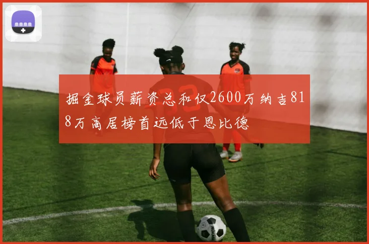 掘金球员薪资总和仅2600万纳吉818万高居榜首远低于恩比德
