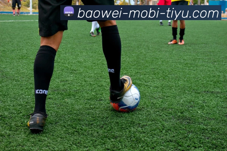 宝威体育服务体系